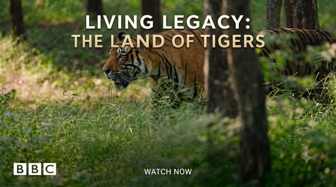Land of the tigers | Living Legacy | BBC StoryWorks
