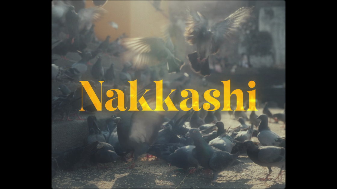 Nakkashi Muisc video